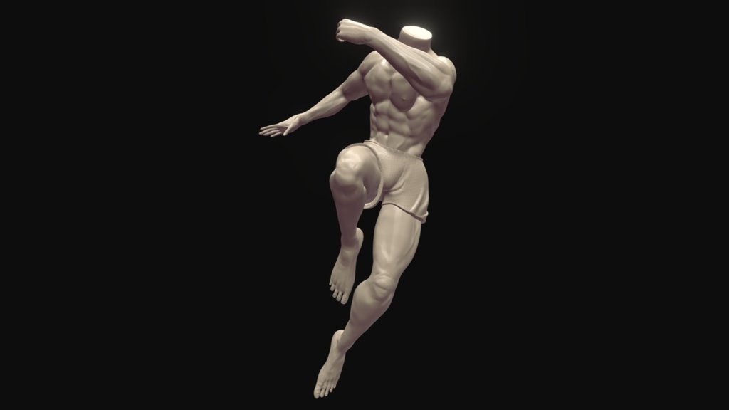 Anatomy In Action 3d model