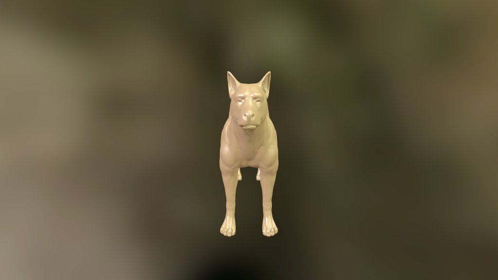 Dog_anatomy_study 3d model