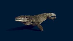 Dakosaurus