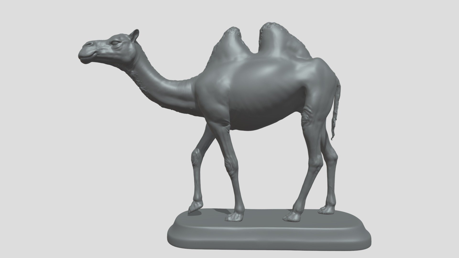 Camel 3d model