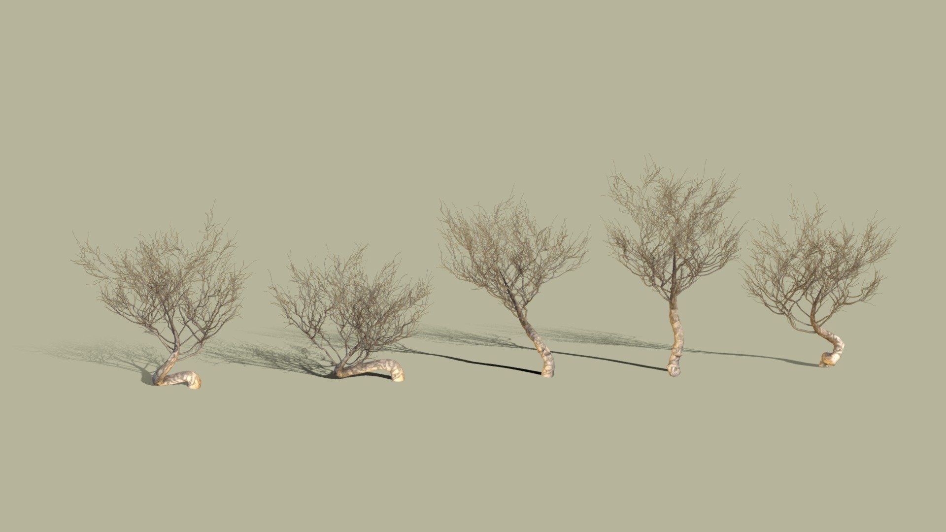 Dry Bushes 3d model