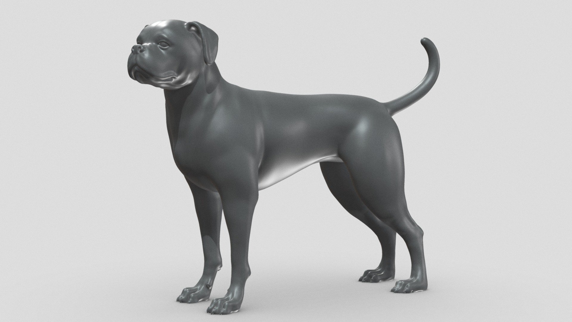 Boxer Dog V1 3D print model 3d model