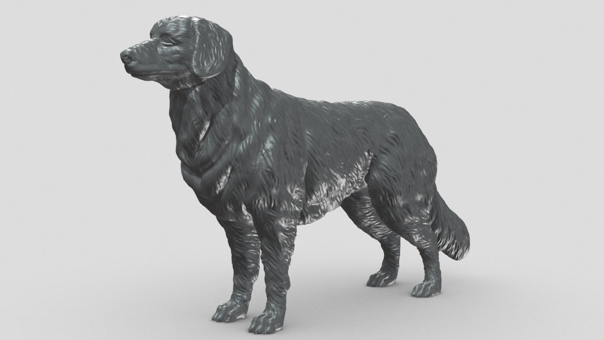 Nova Scotia Retriever V3 3D print model 3d model