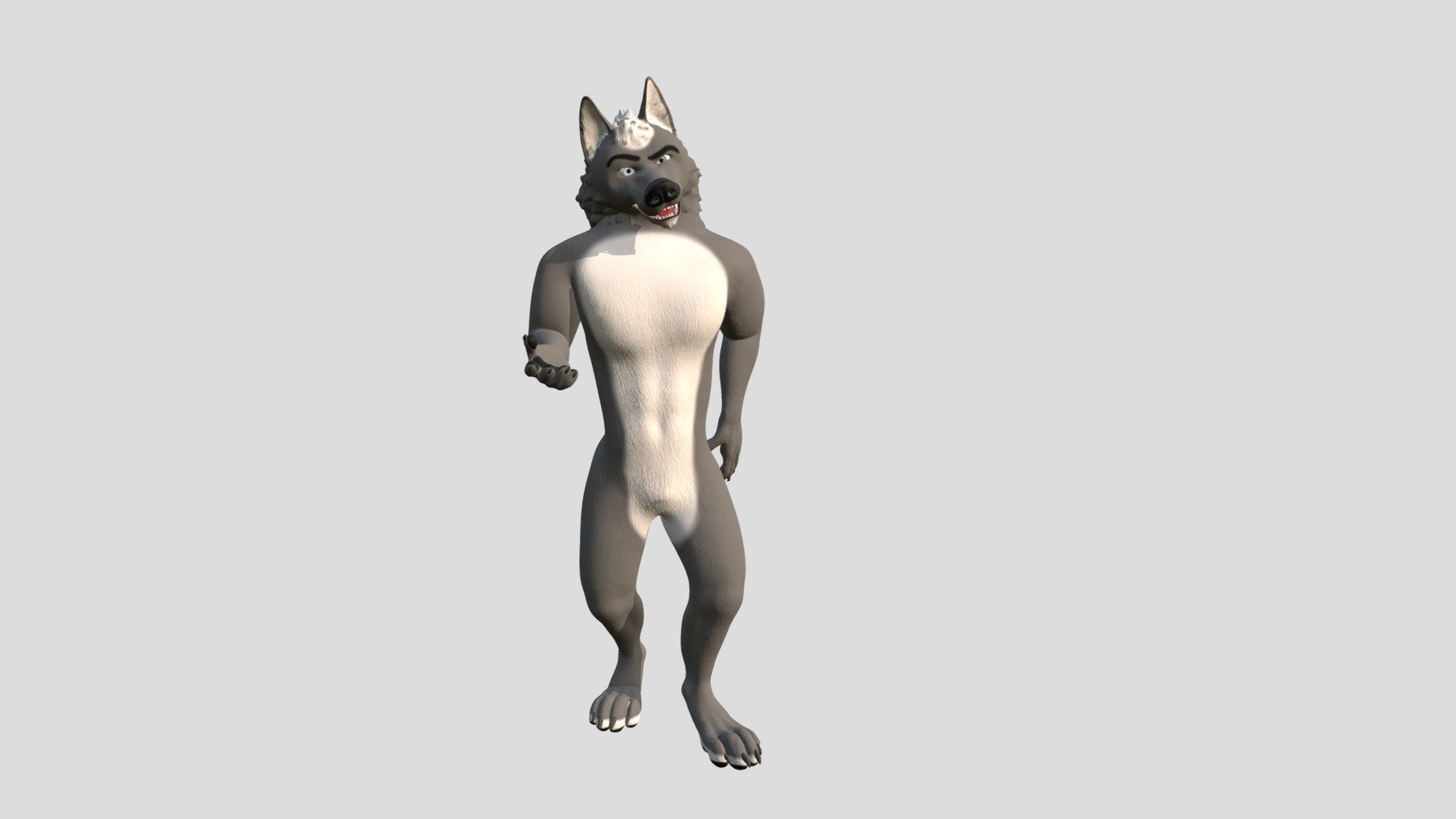 Grey Wolf 3d model