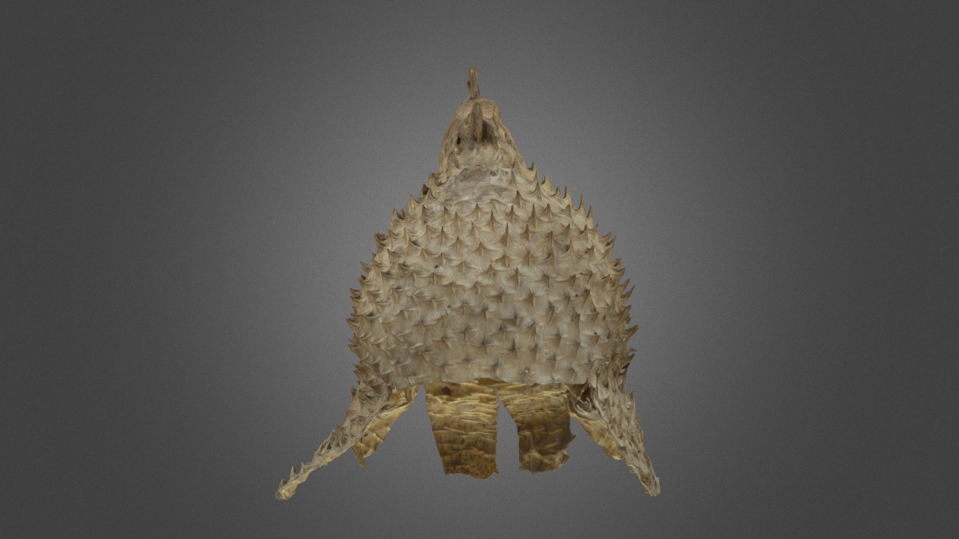 Porcupine fish helmet 3d model