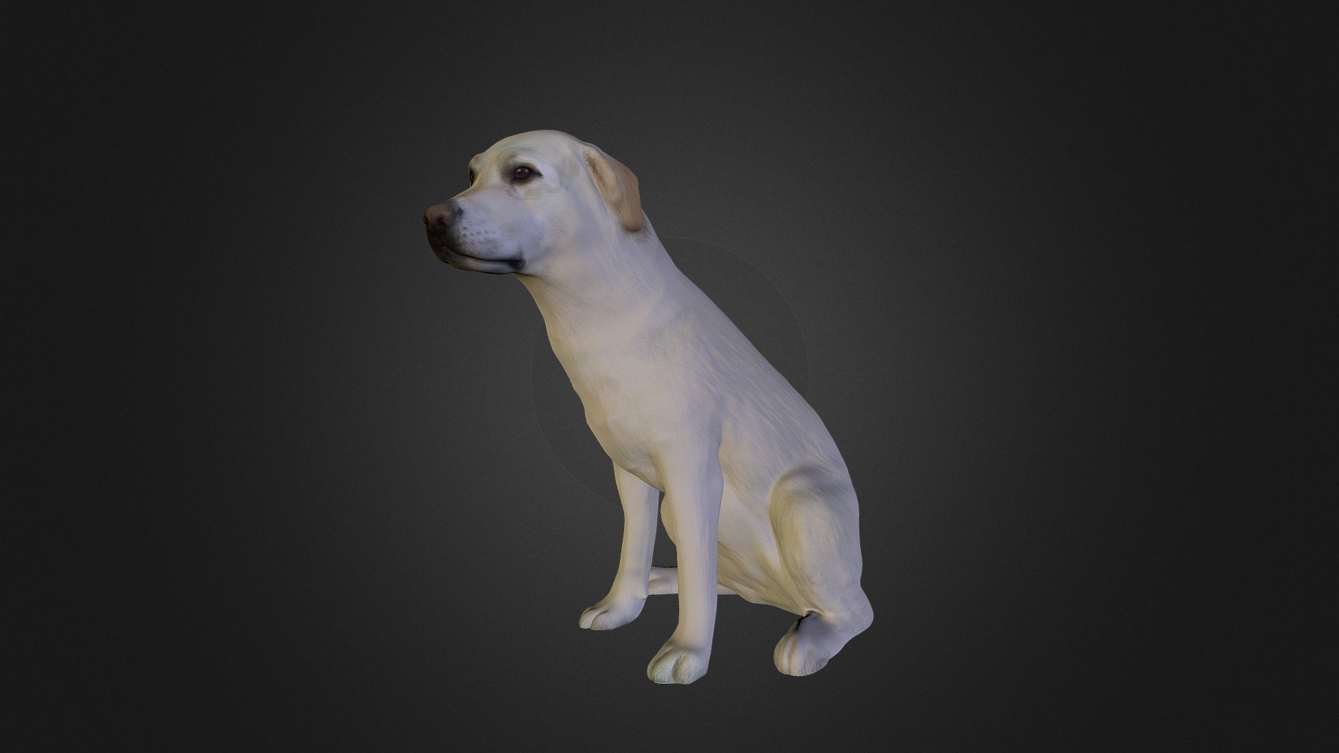 Unsere Amy 3d model