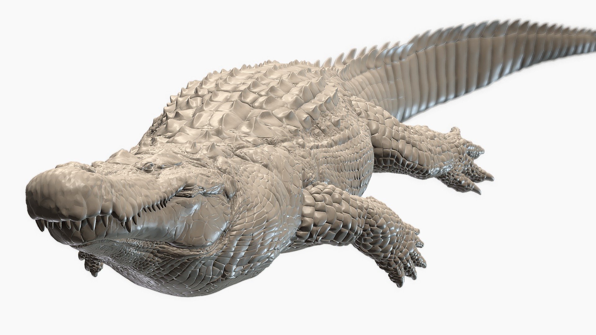 Swimming Purussaurus Sculpt 3d model