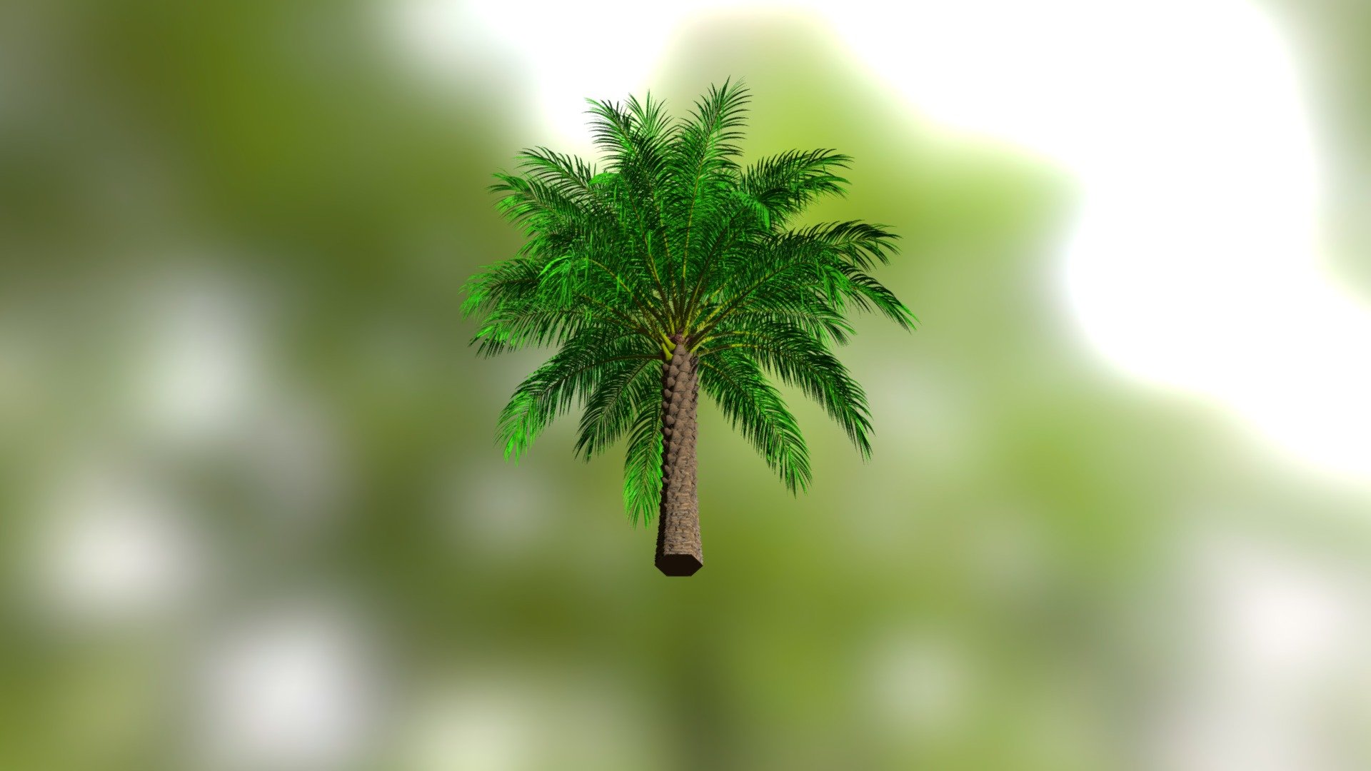 High poly palm tree : Elais Guineensis 3d model