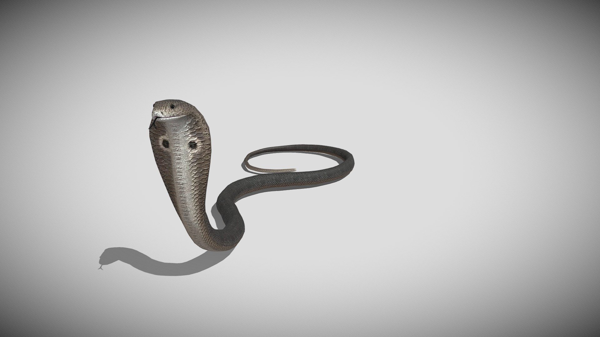 Medhue Cobra 3d model