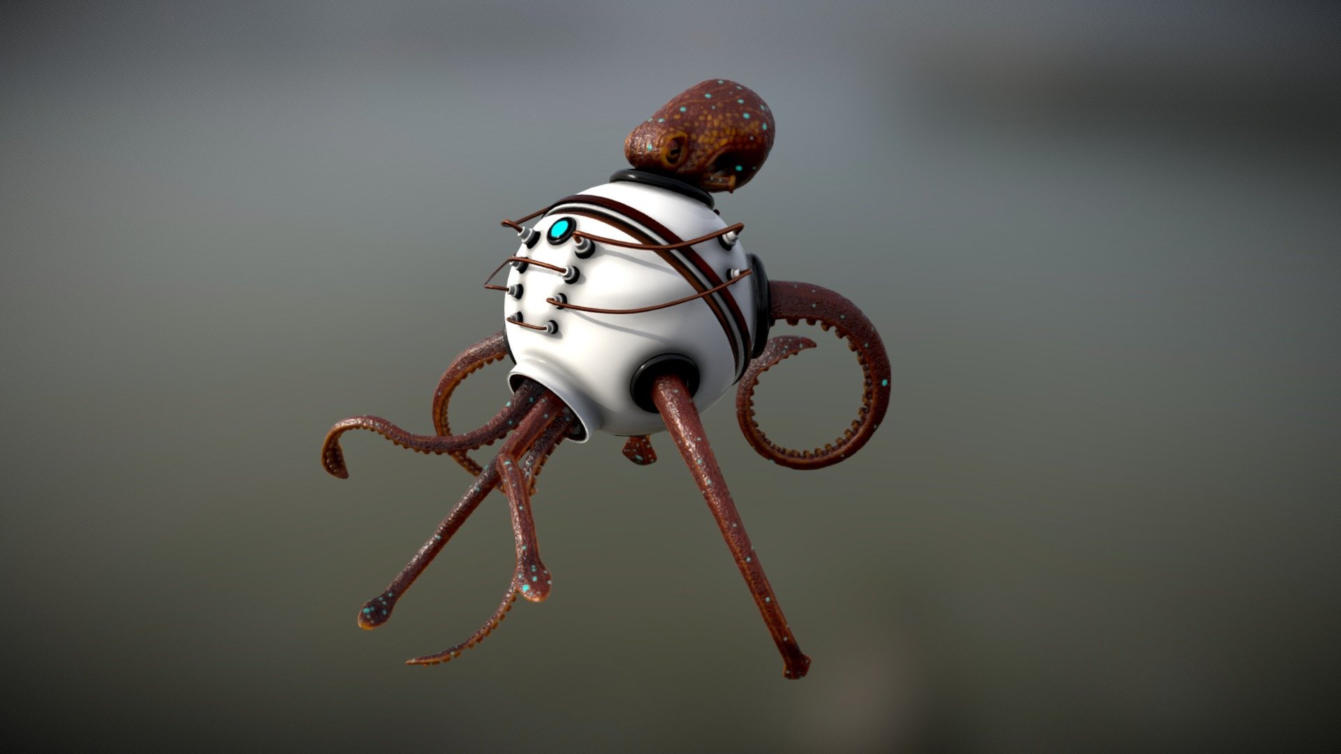 Squiddy 3d model