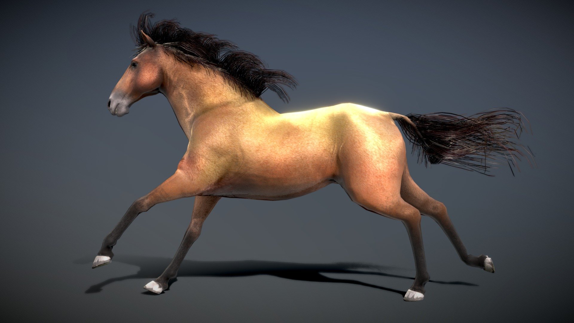 Horse — Spanish Mustang ( Brown ) 3d model