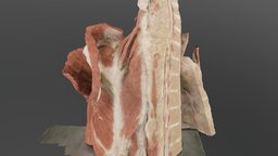 plastination 003 hi-res, 2 chunks