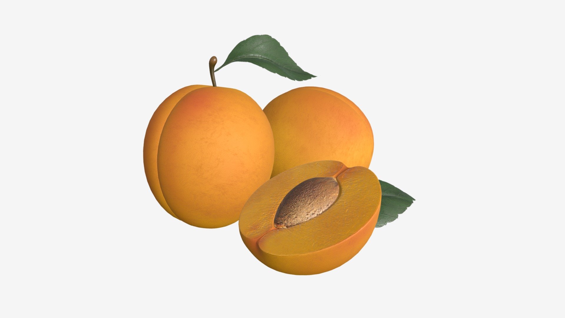 Apricot fresh and cutted off fruit with leaf 3d model