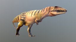 Carcharodontosaurus