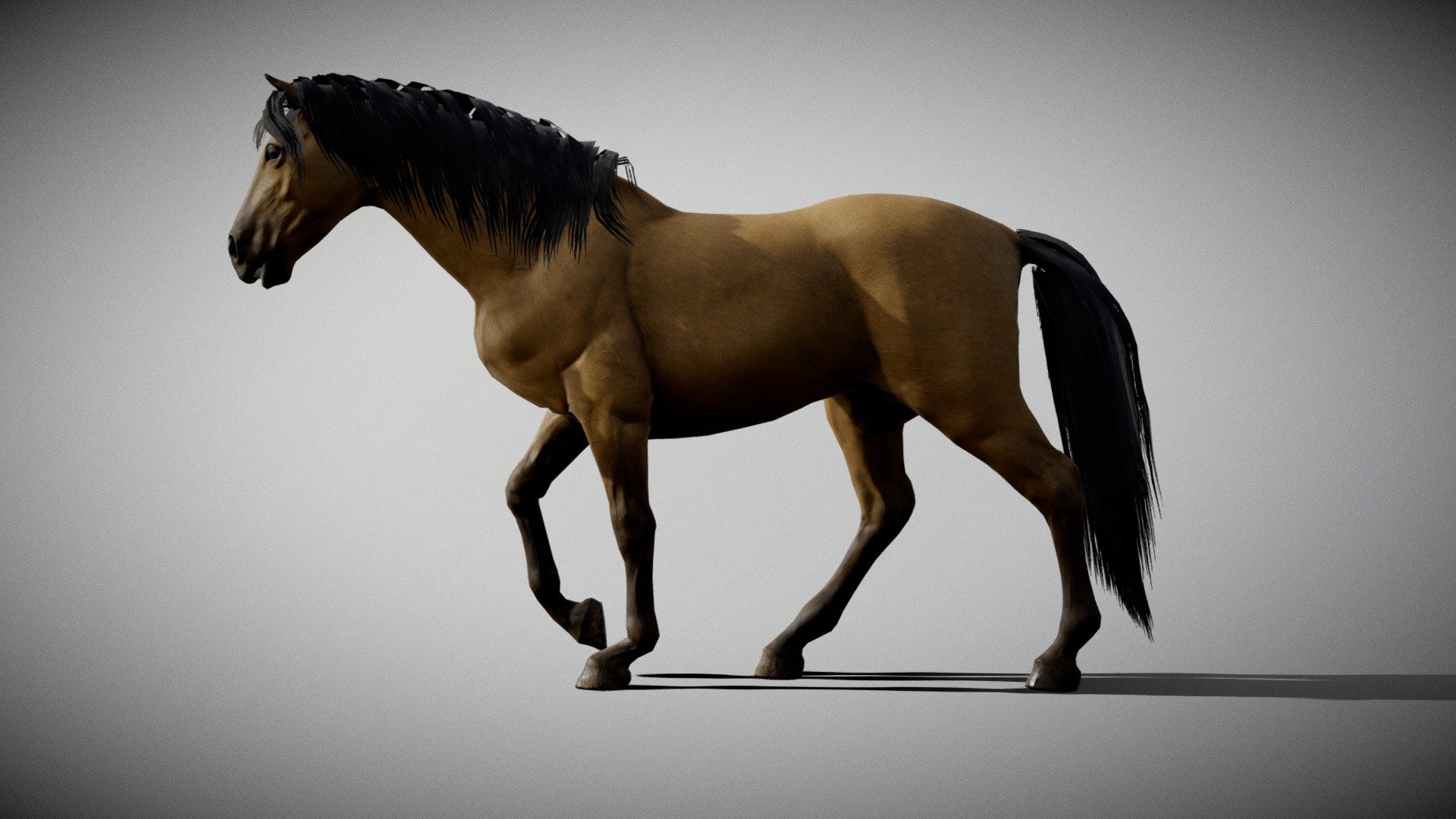 horse 3d model