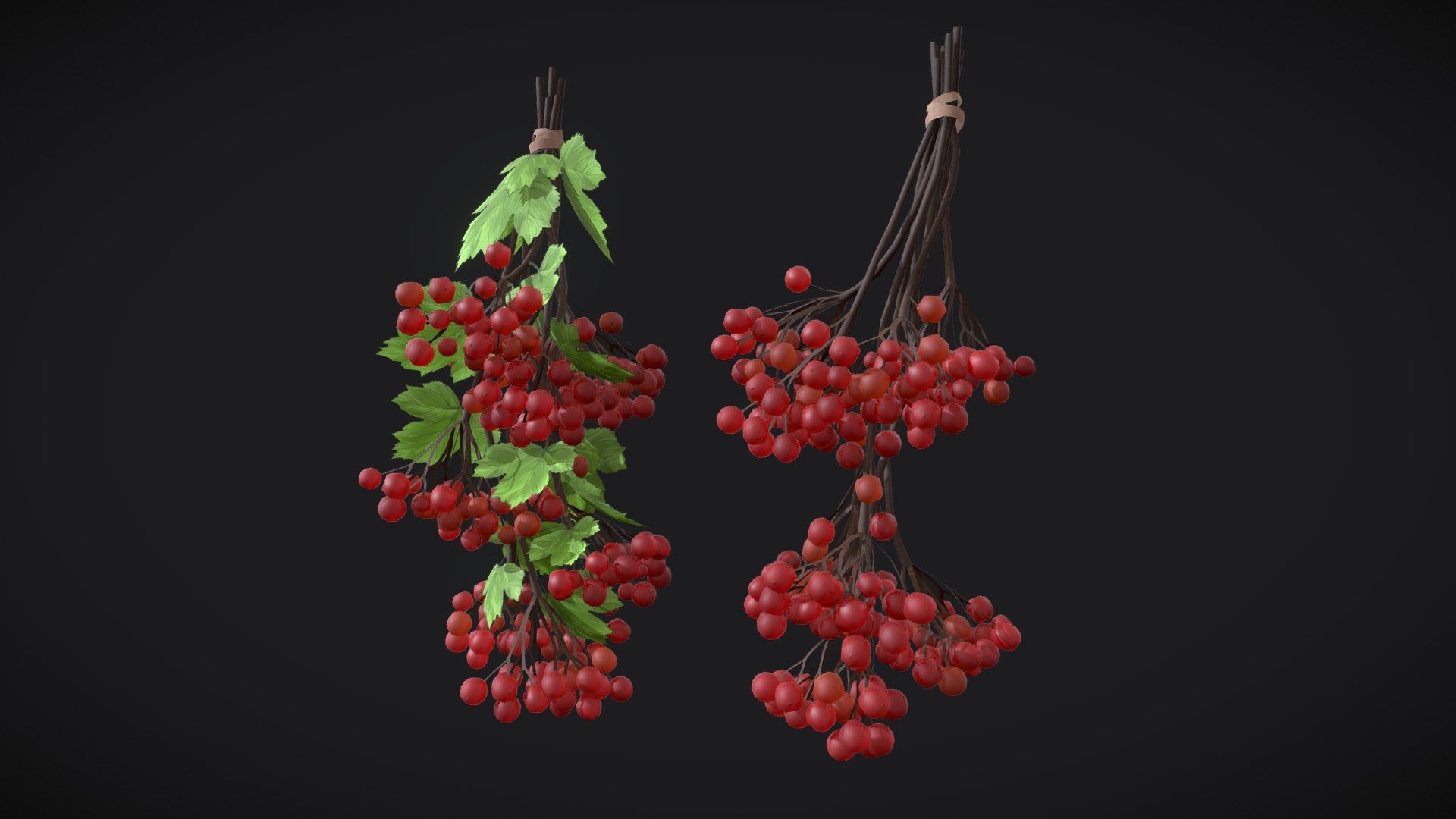 Guelder rose, red berries 3d model