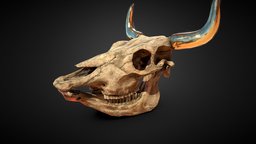 Cow Skull