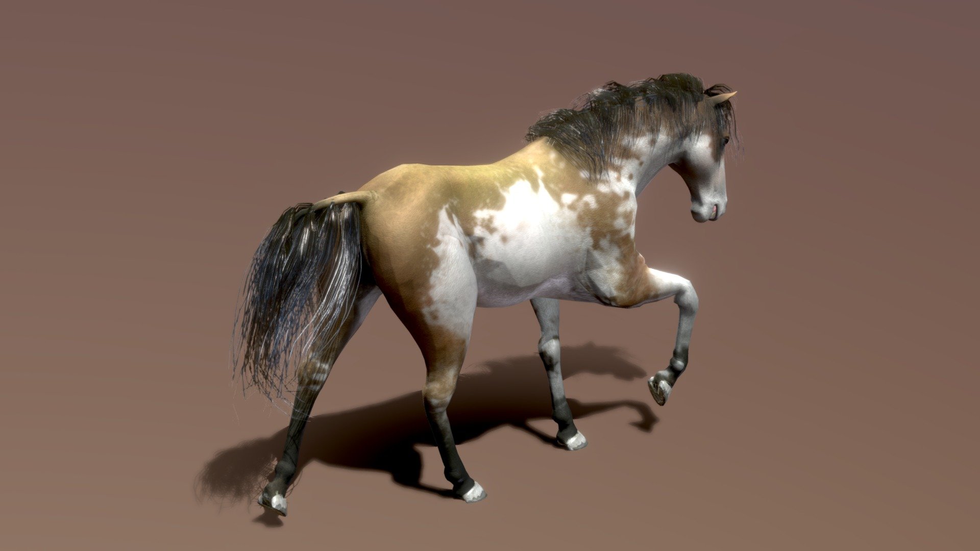 Horse — Spanish Mustang ( Painted ) 3d model