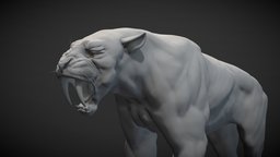 Sabertooth Tiger aka Smilodon