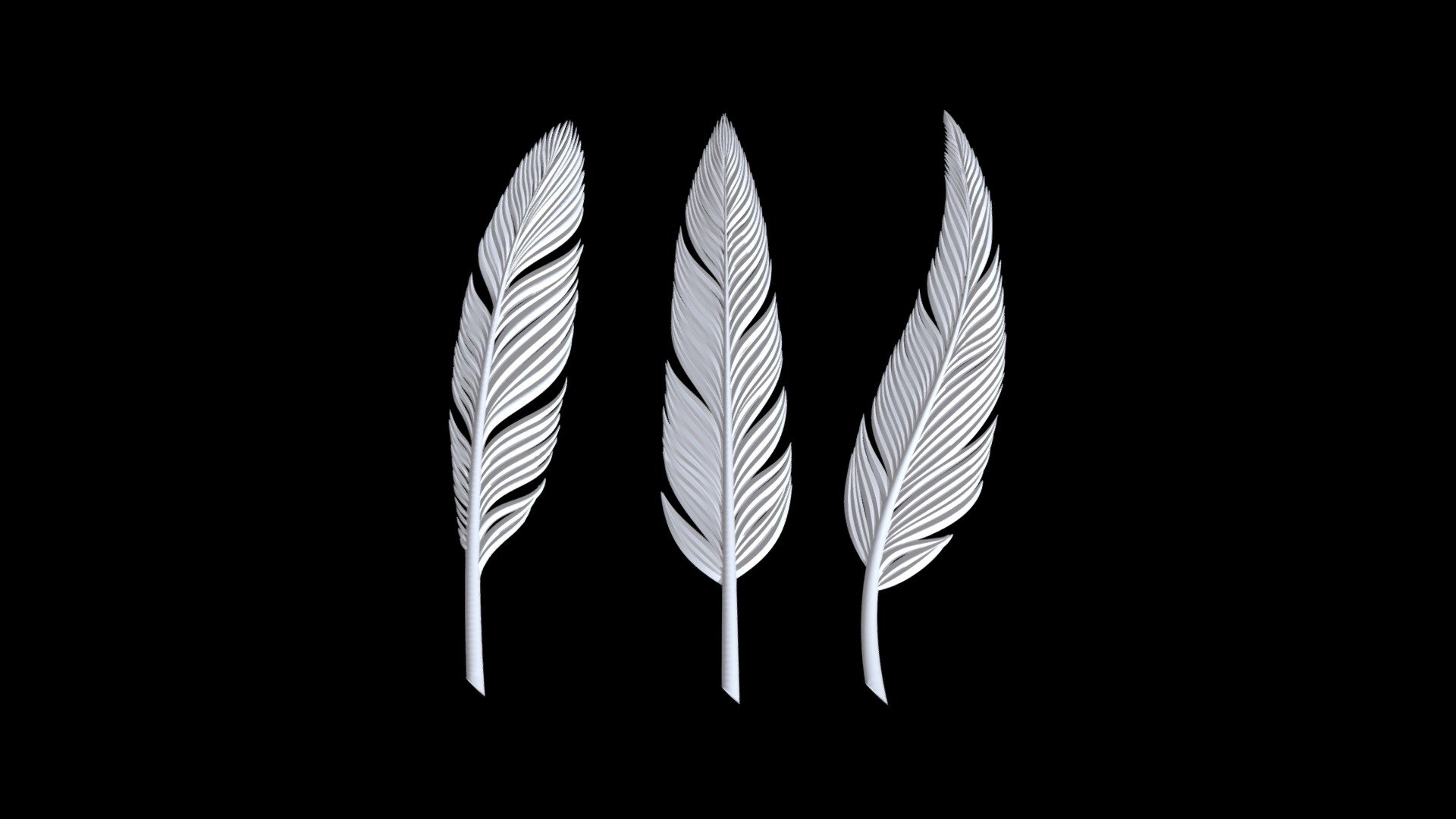 Feather Set 3d model