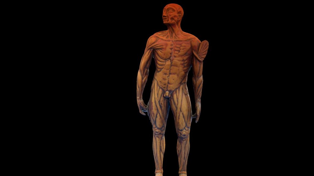 Cambridge UL Boxwood Medical Figure c1590 HiRes 3d model