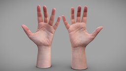 Female hands