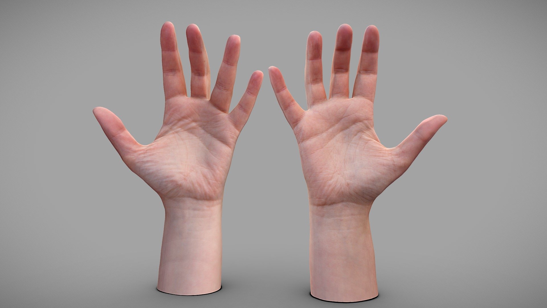 Female hands 3d model