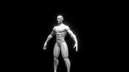 Basemesh Male