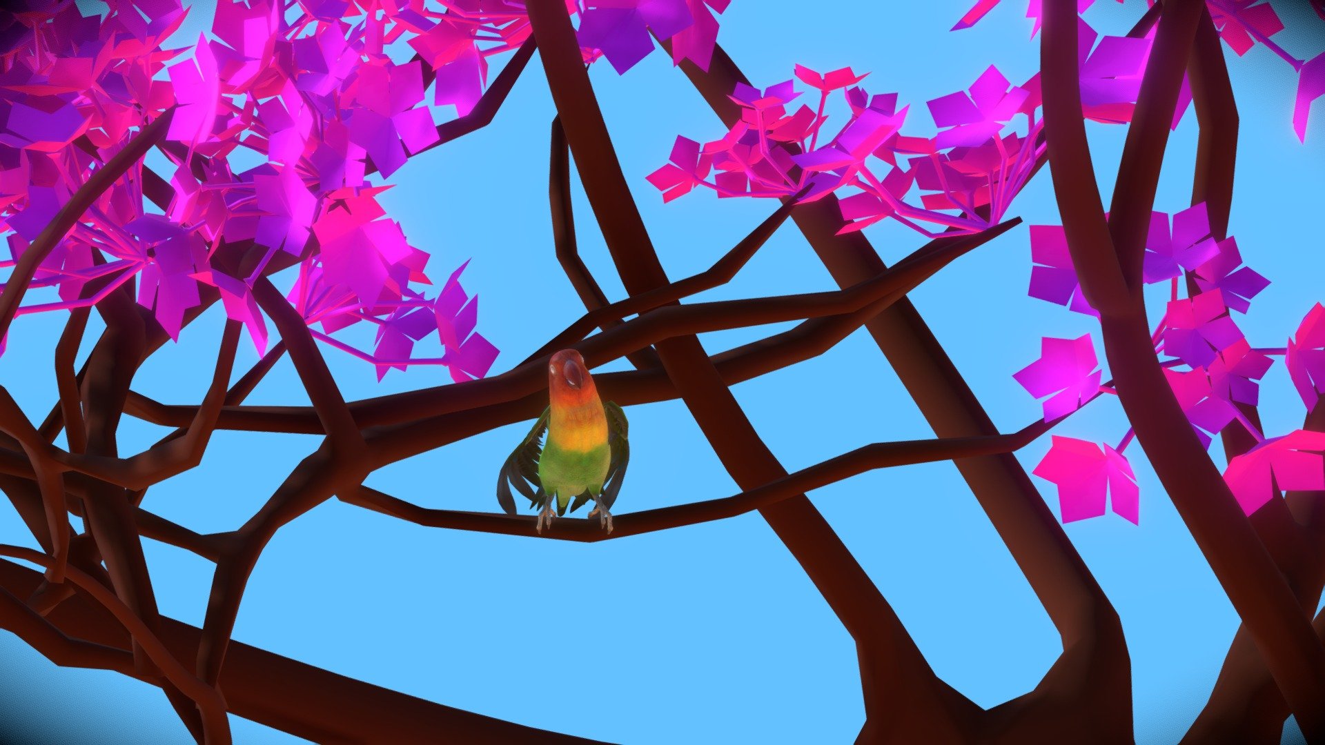 Lovebird 3d model