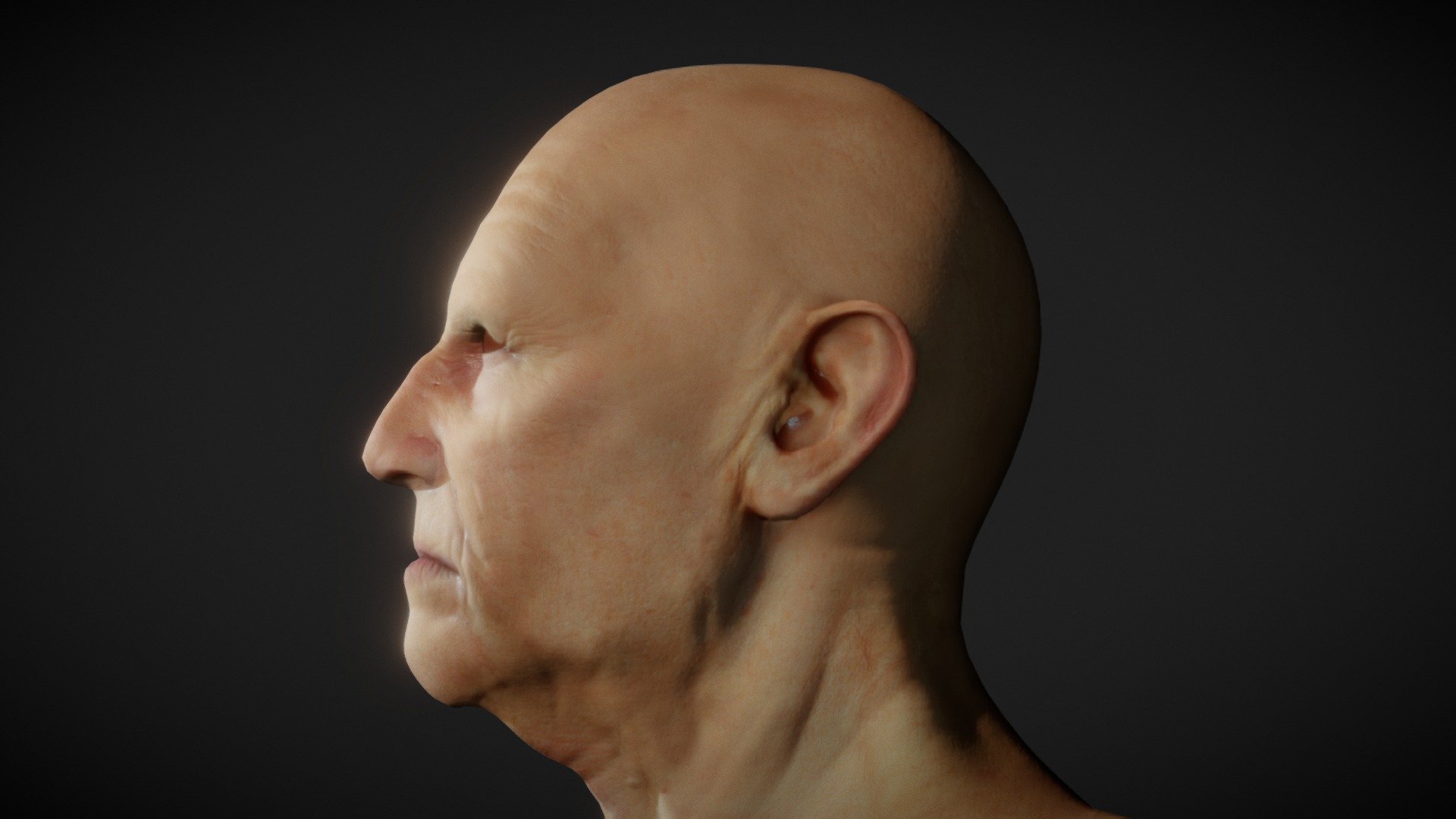 Generic old man head sculpt 3d model