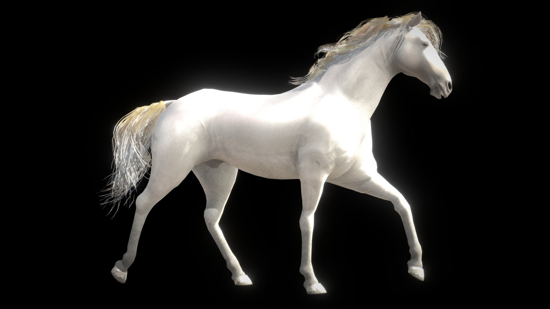 Horse — Spanish Mustang ( White ) 3d model