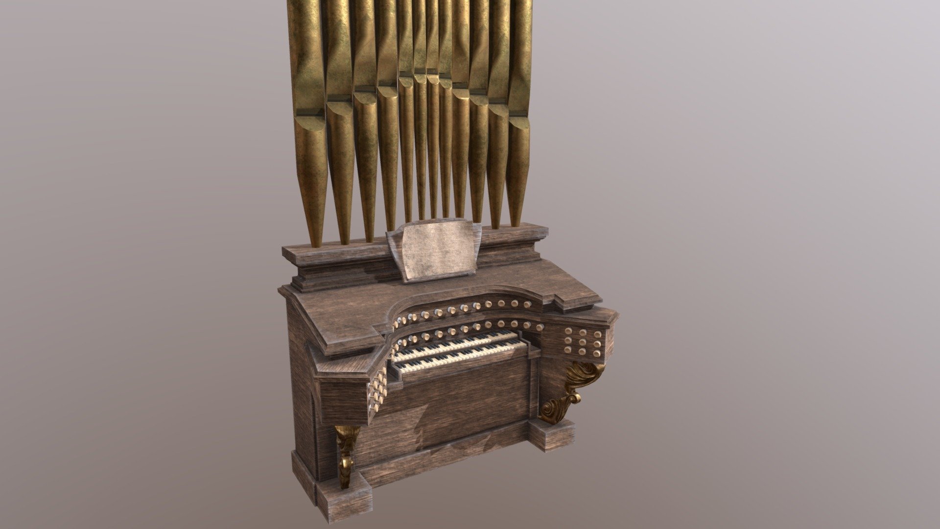 Organ 3d model