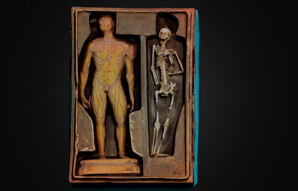 Cambridge University Library C16 medical model 3d model