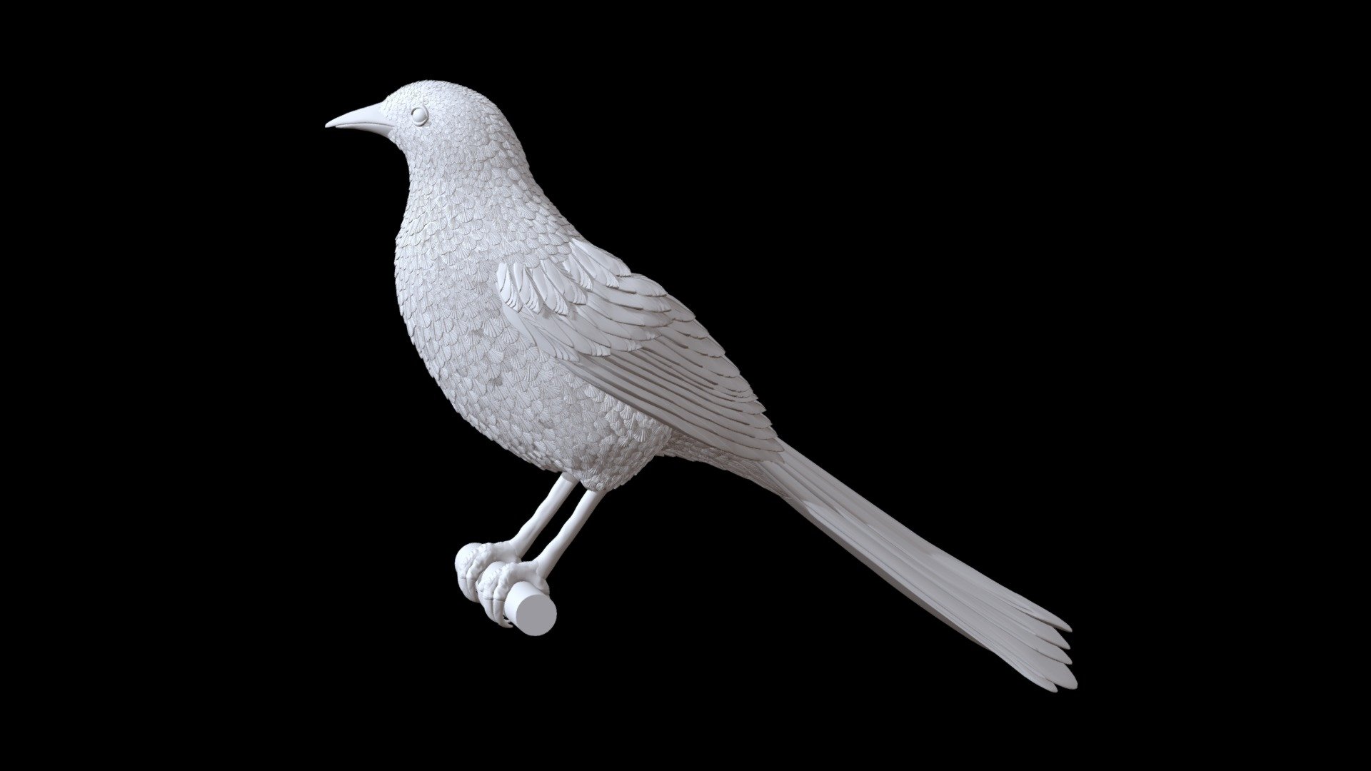 Magpie 3d model