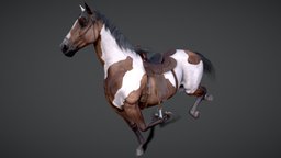 Horse(Stallion)  |Game Ready|