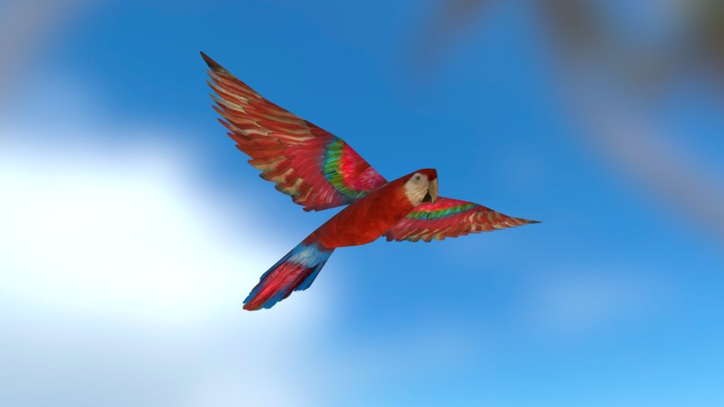 Parrot (Low poly 3d model