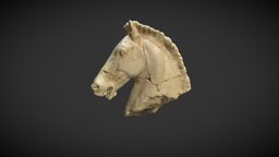 Horse Head