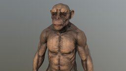 BaldChimp