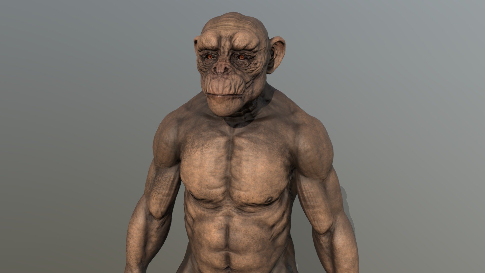 BaldChimp 3d model