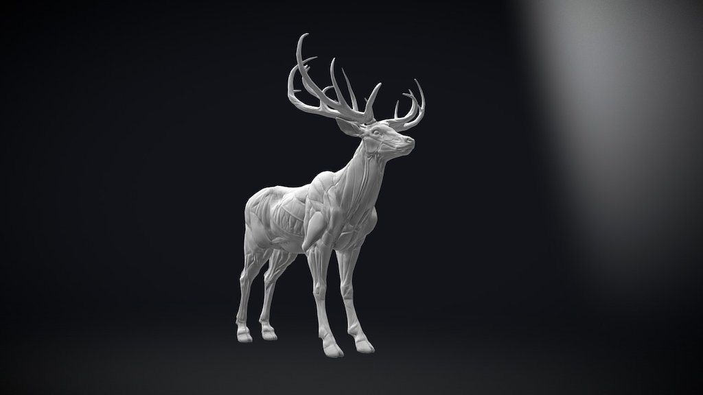 Deer 3d model