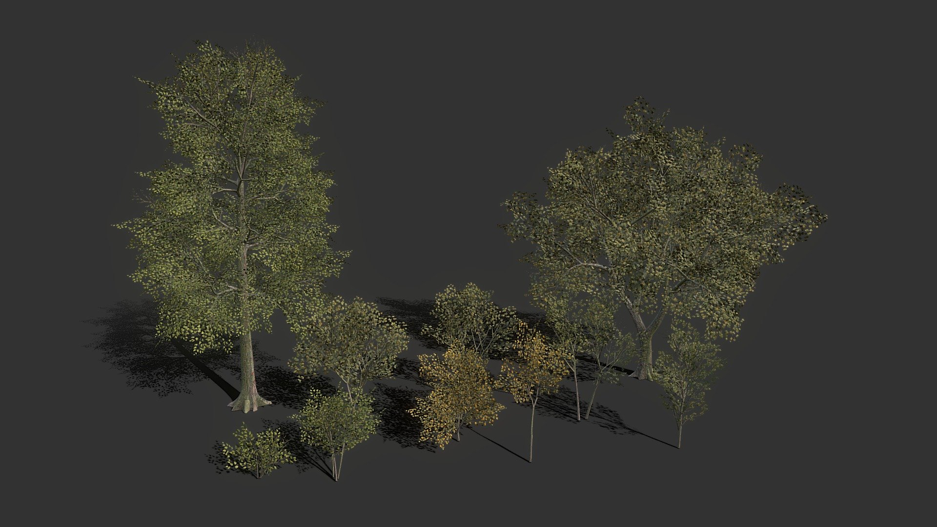 Tree Pack (Low-Poly) 3d model