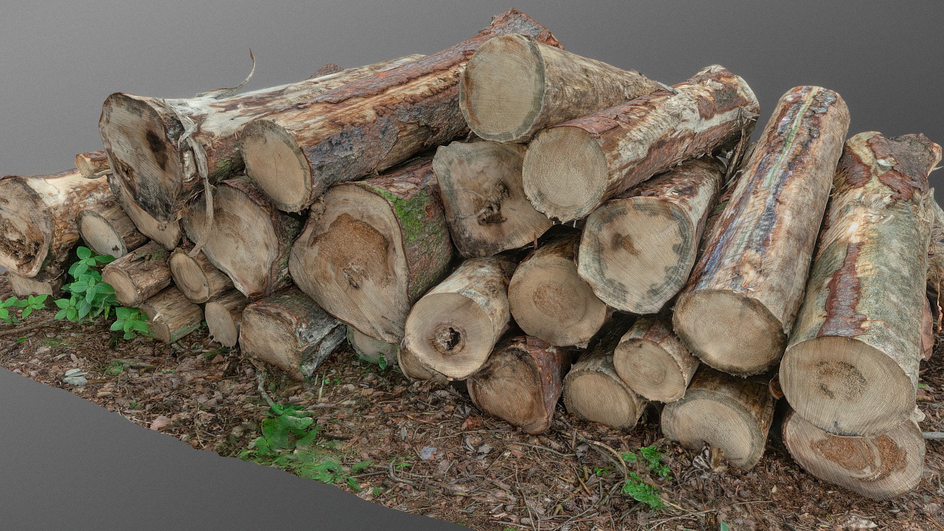 Log pile 3d model