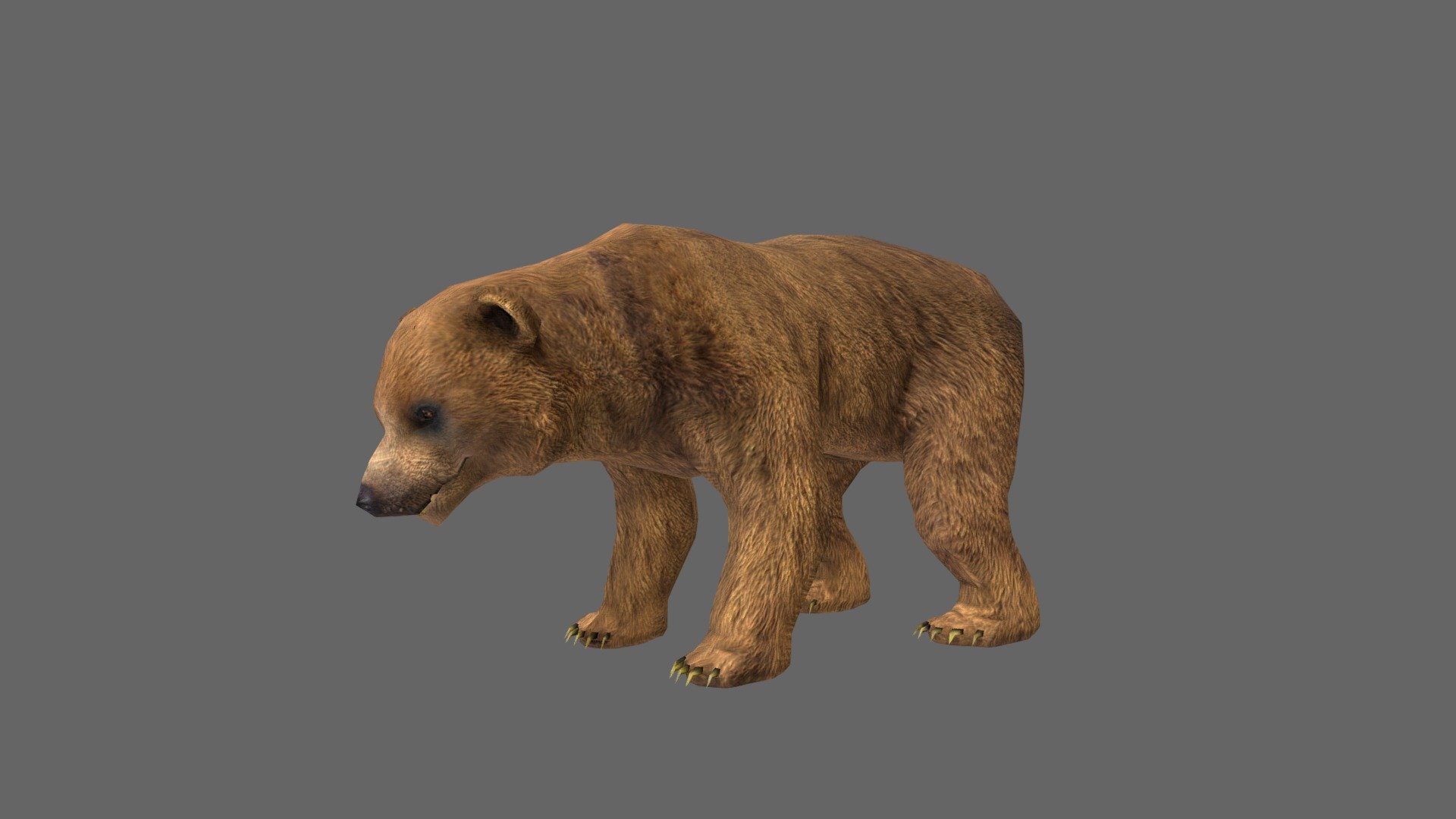 Bear 3d model