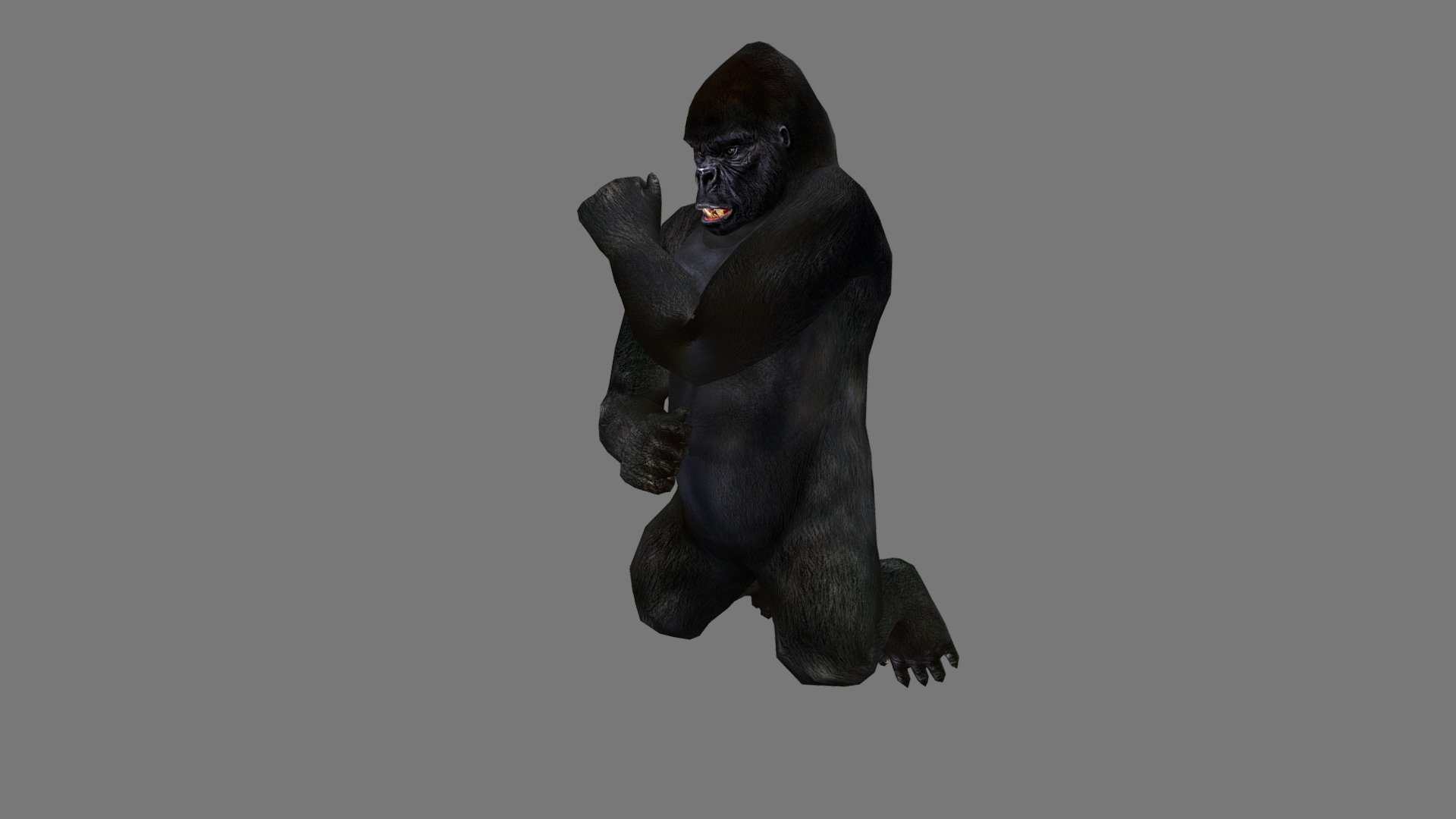 Gorilla 3d model