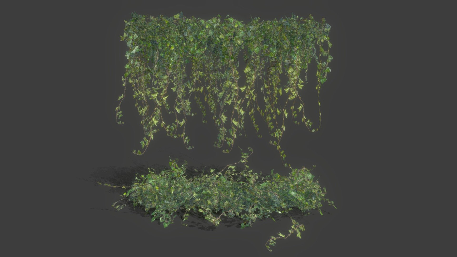 Ivy Scatter 3d model