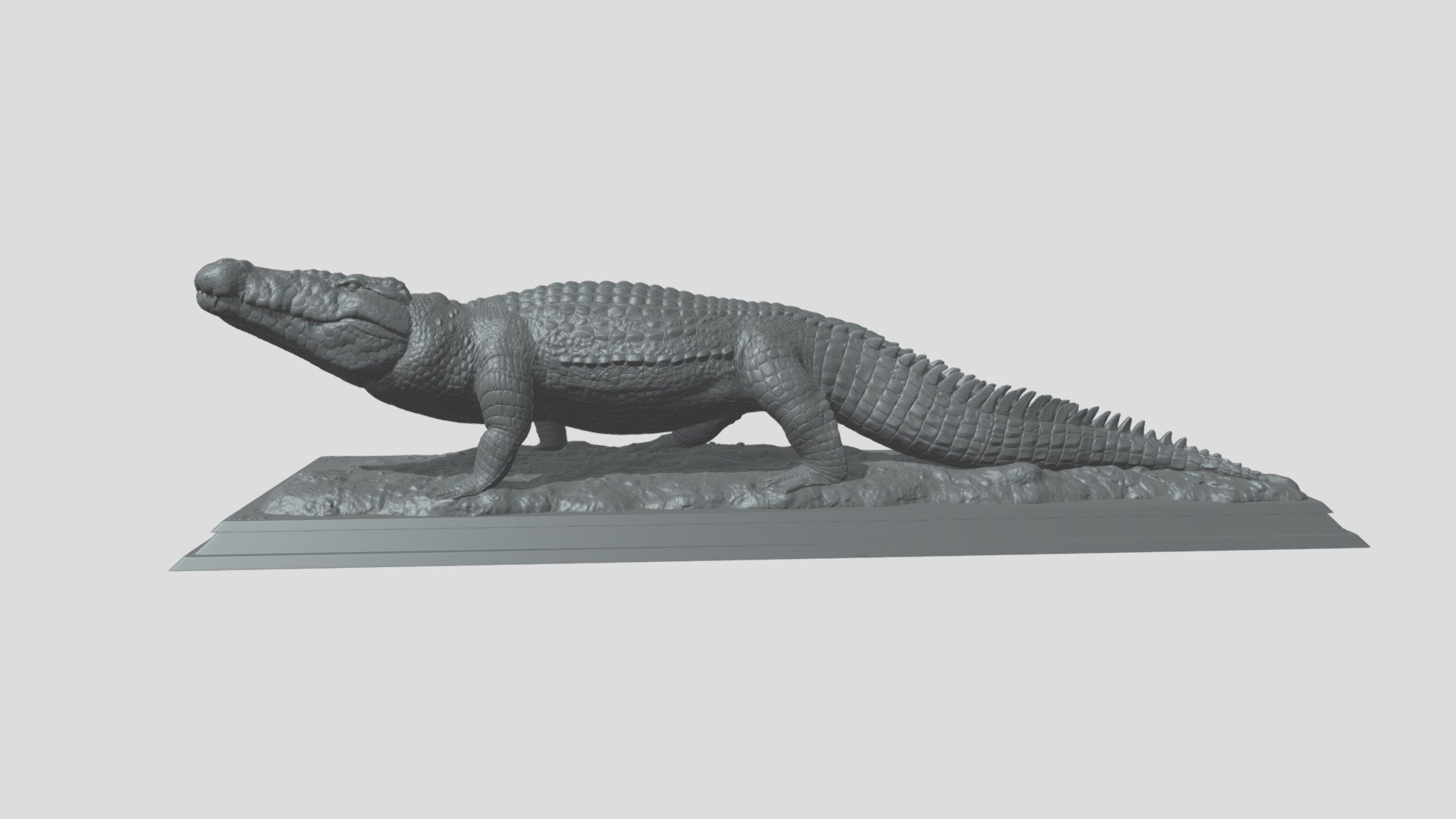 Crocodile 3d model