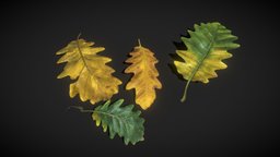 Oak Leaves