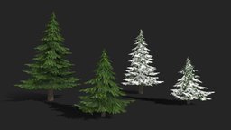 Fir Trees (LowPoly)