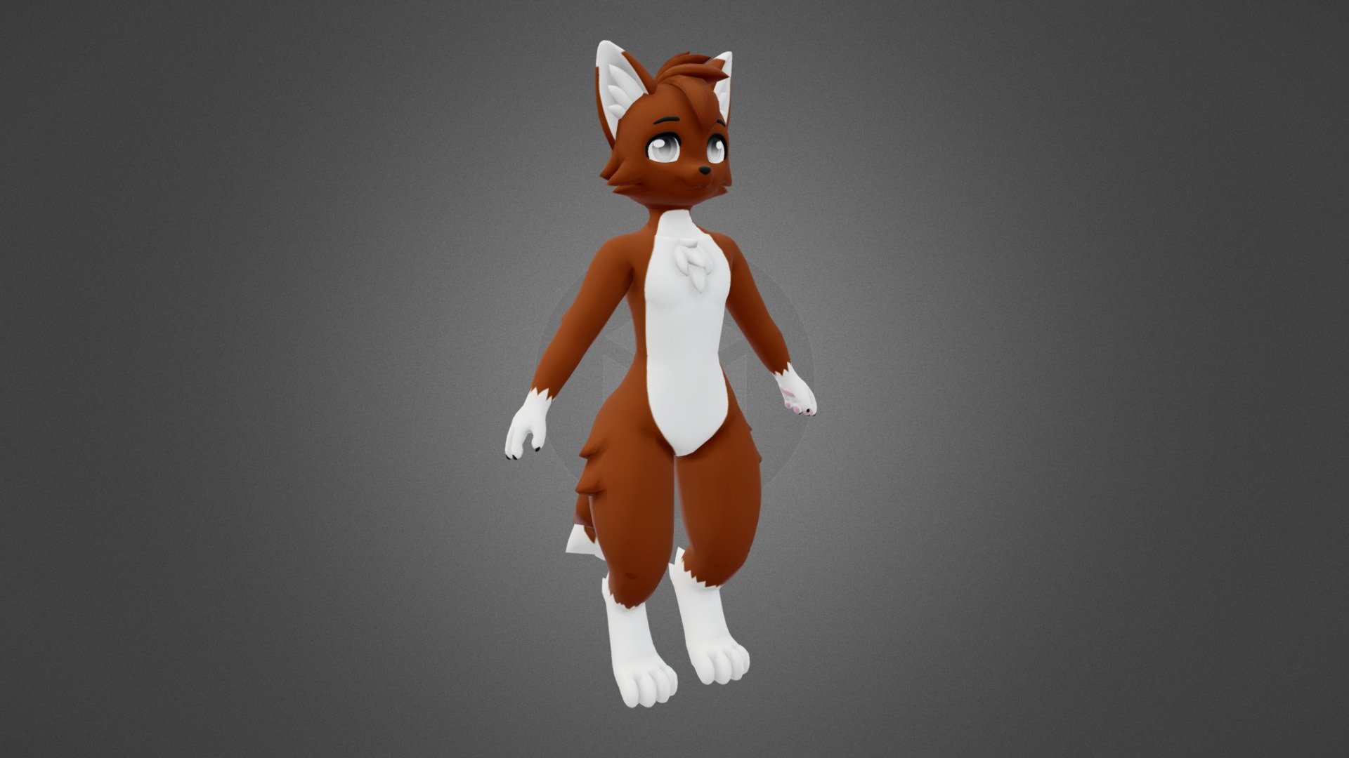 Cat Furry 3d model