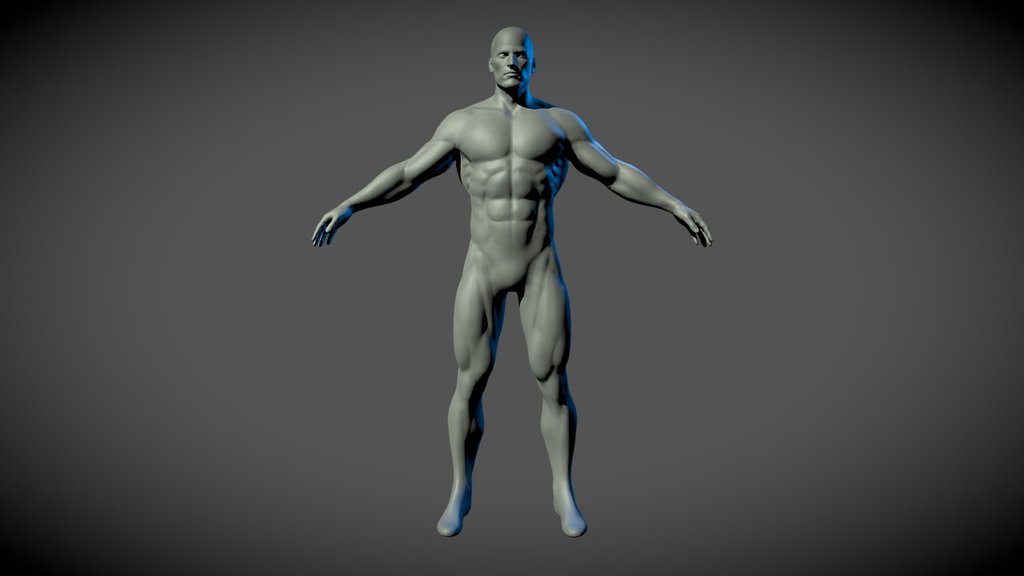 Superhero Basemesh 3d model